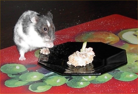 Cake