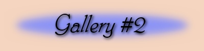 Jane's Photo Galleries