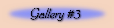 Jane's Photo Galleries