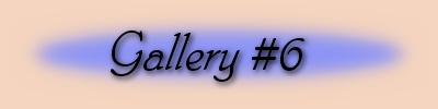 Jane's Photo Galleries