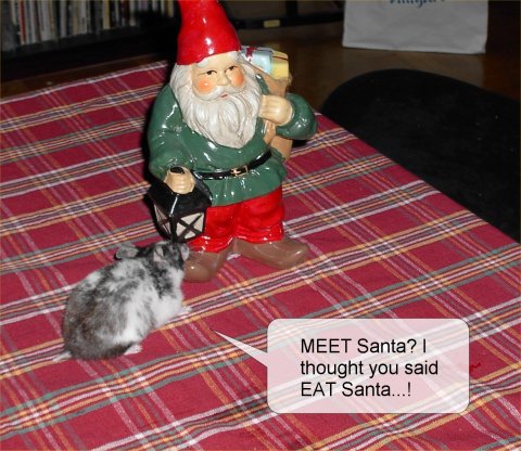 Xmas fun